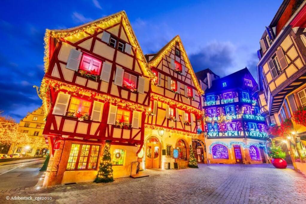 Balneo, Lumineux, Confort Кольмар Экстерьер фото